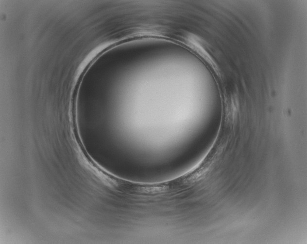 X0000077381339200610201343