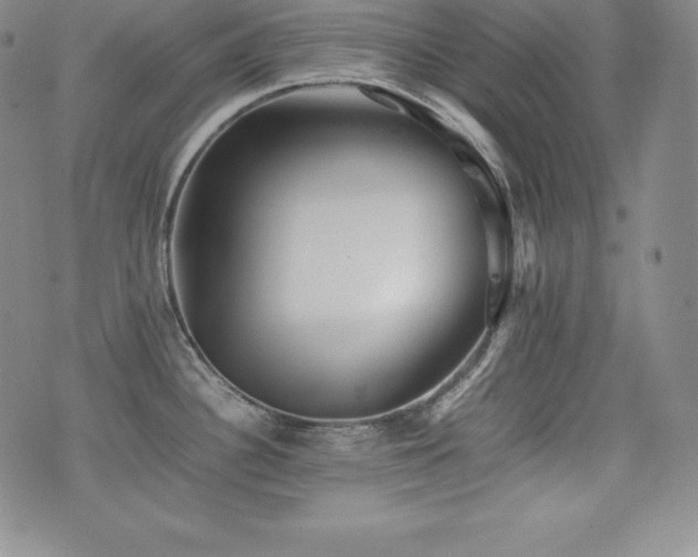 X0000077381340200610201343