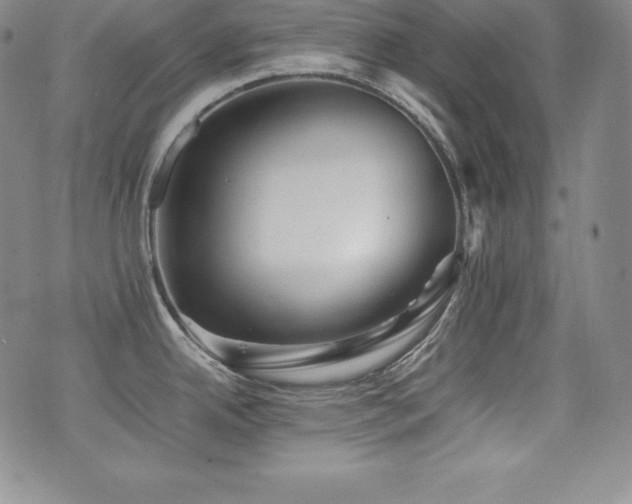 X0000077381342200610201343