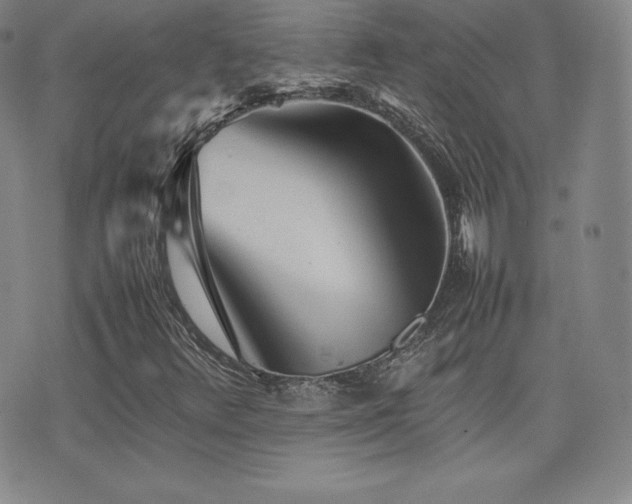 X0000077381348200610201342