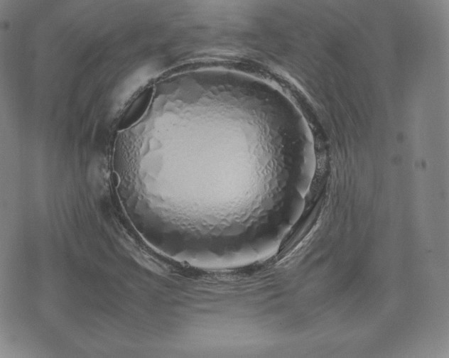 X0000077381355200610201342