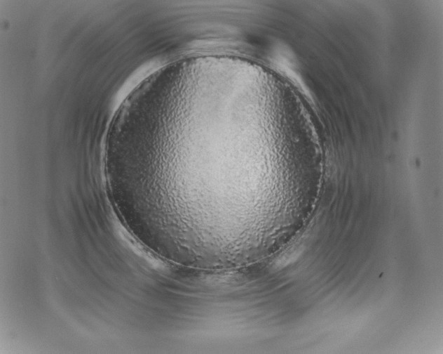 X0000077381386200610201341