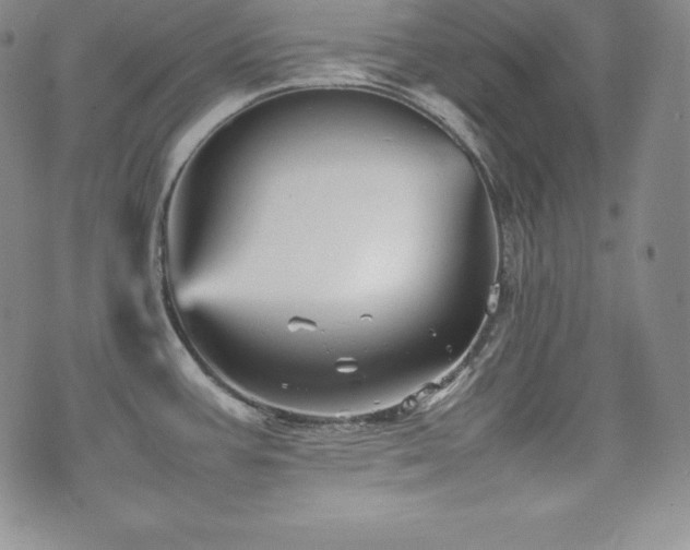 X0000077381387200610201341