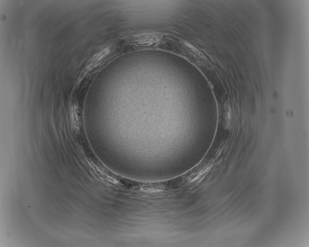 X0000077381394200610201341