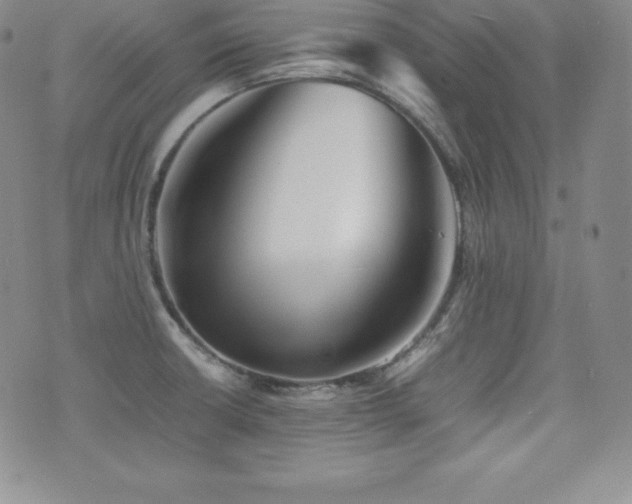 X0000077381426200610201341