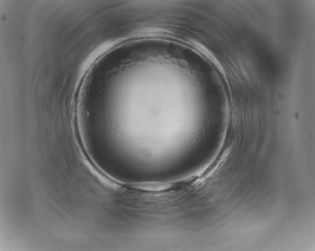 X0000077381437200610201341