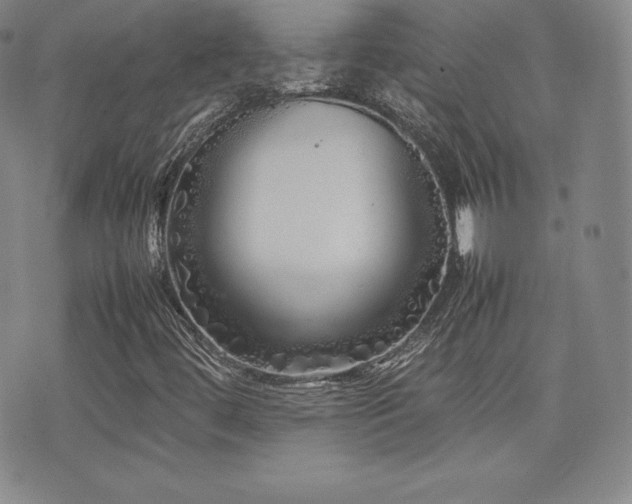 X0000077381444200610201341