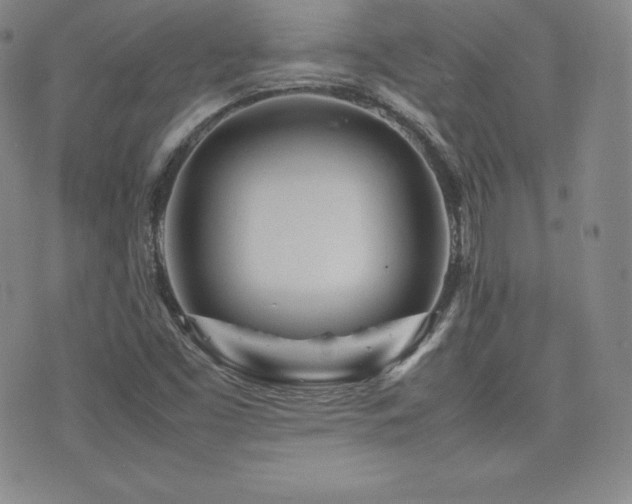 X0000077381453200610201340