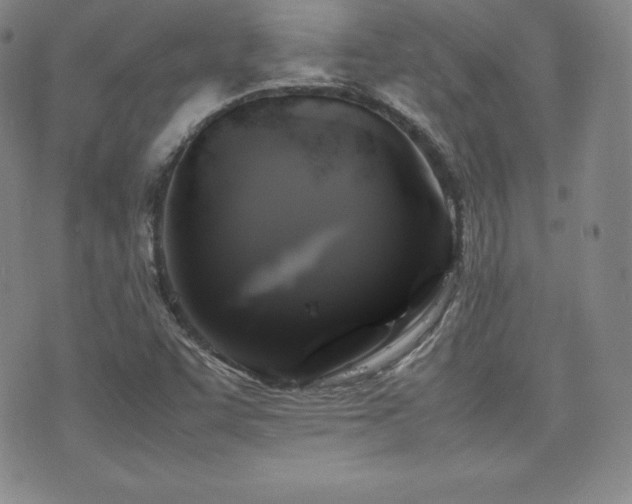 X0000077381455200610201340