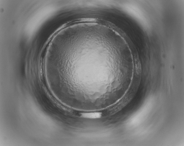 X0000077381487200610201340