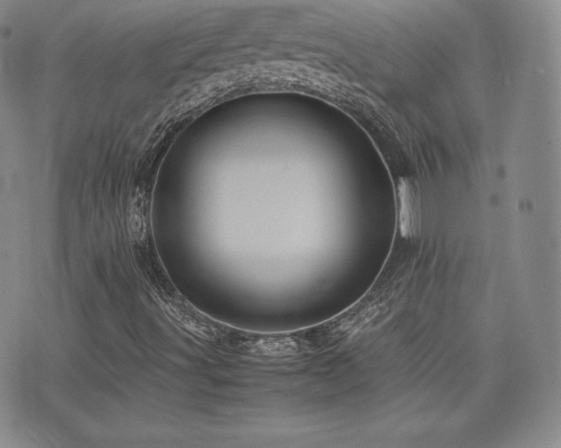 X0000077381491200610201339