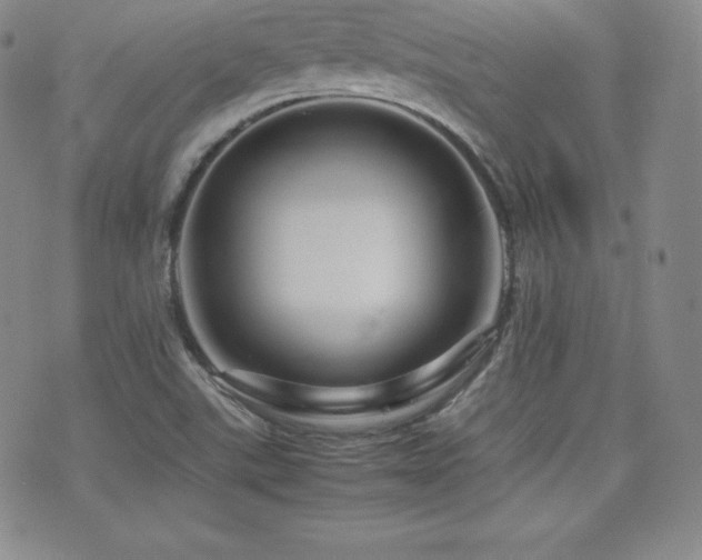 X0000077381507200610201339