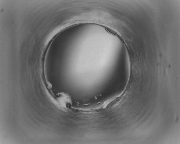 X0000077381523200610201340