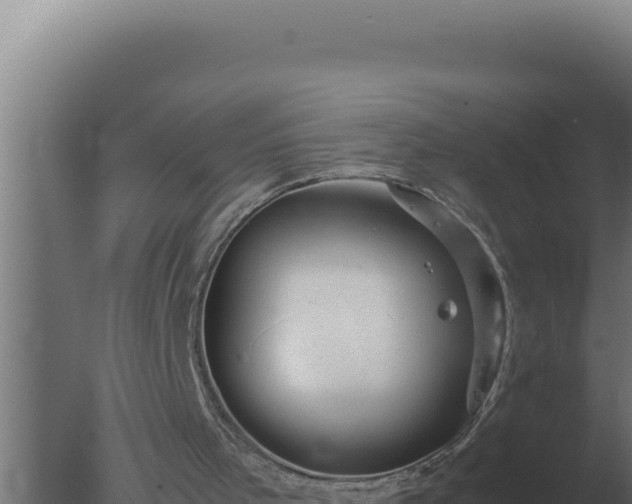 X0000077380001200610271958