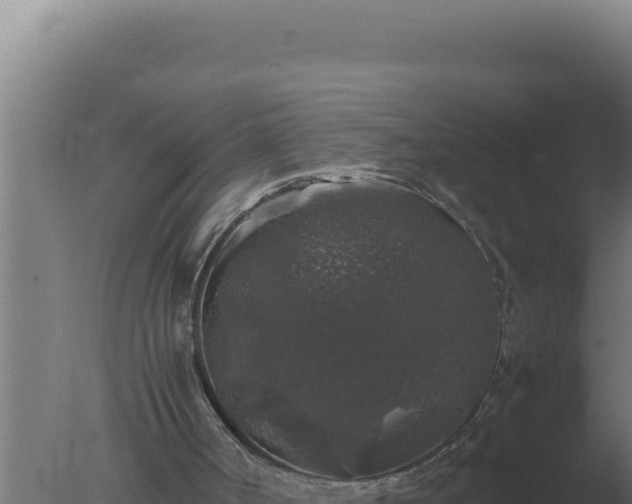 X0000077380002200610271958