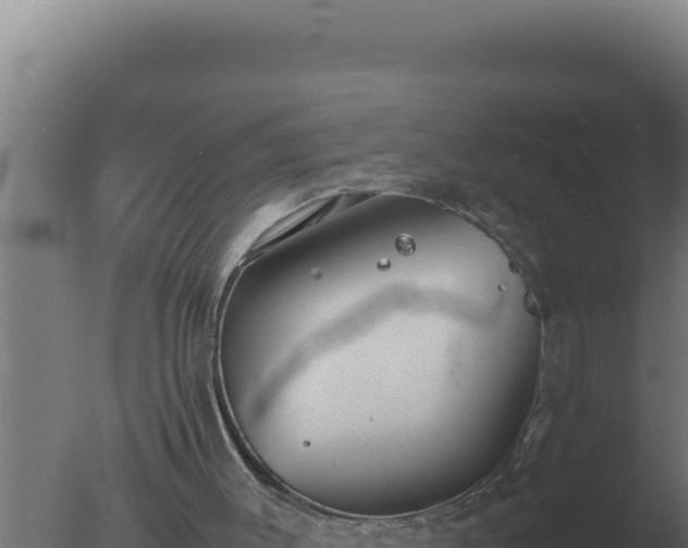 X0000077380003200610271958