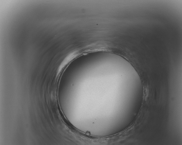 X0000077380004200610271958