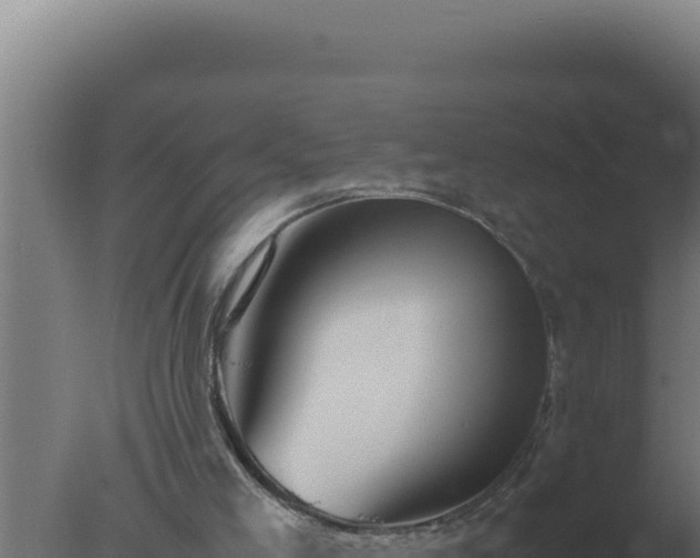 X0000077380005200610271958