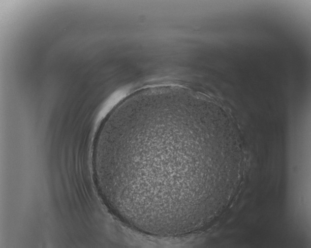 X0000077380006200610271958