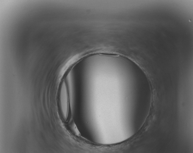 X0000077380007200610271958