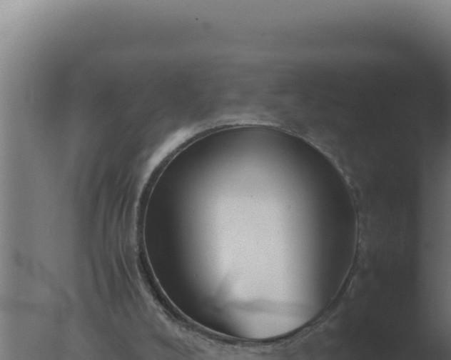 X0000077380008200610271958