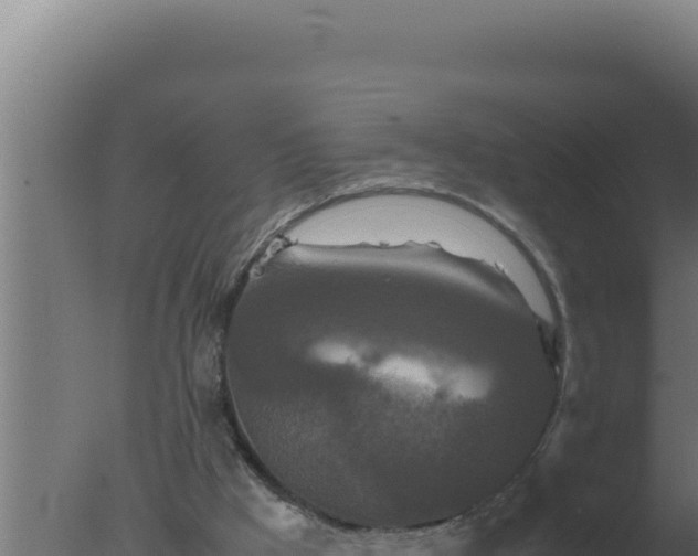 X0000077380009200610271958