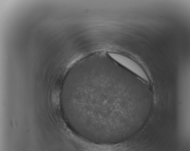 X0000077380010200610271958