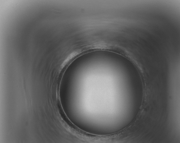 X0000077380011200610271958