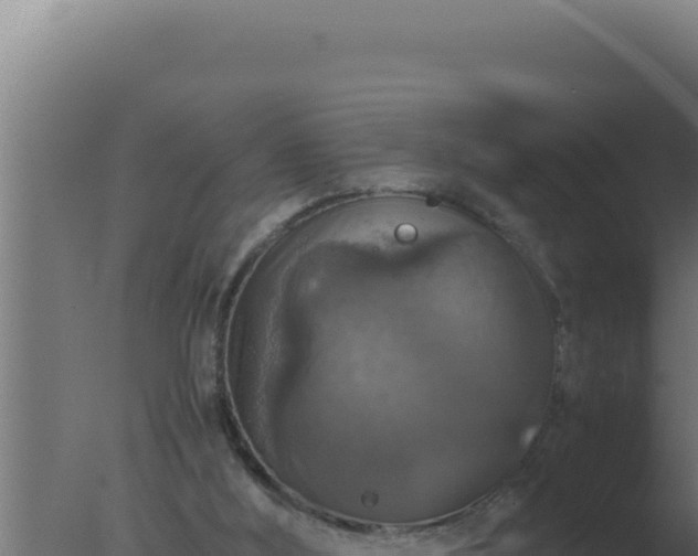 X0000077380012200610271958