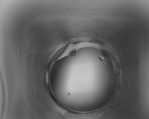 X0000077380013200610271958