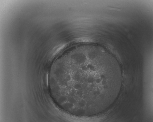 X0000077380014200610271958