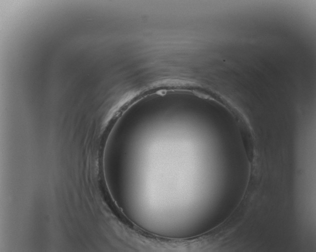 X0000077380015200610271958