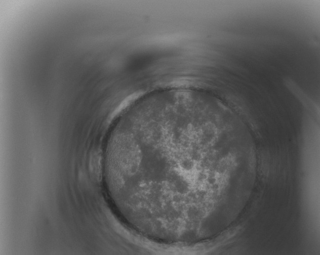 X0000077380016200610271958