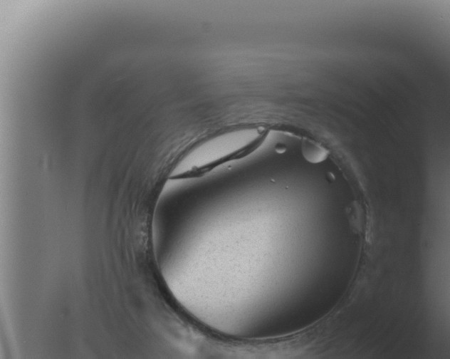 X0000077380017200610271958