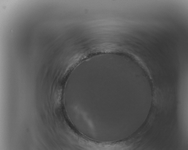 X0000077380018200610271958