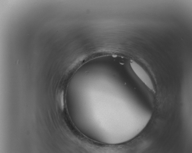 X0000077380020200610271958