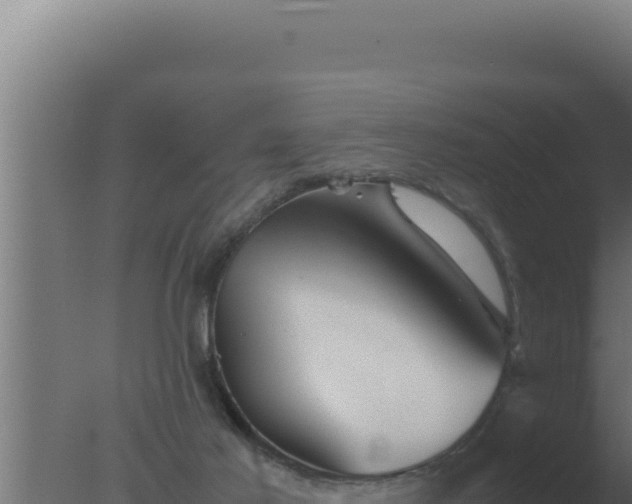 X0000077380021200610271958