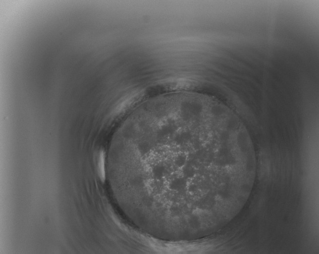 X0000077380022200610271958