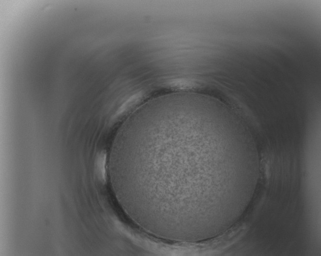 X0000077380024200610271958