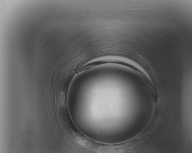 X0000077380025200610271958