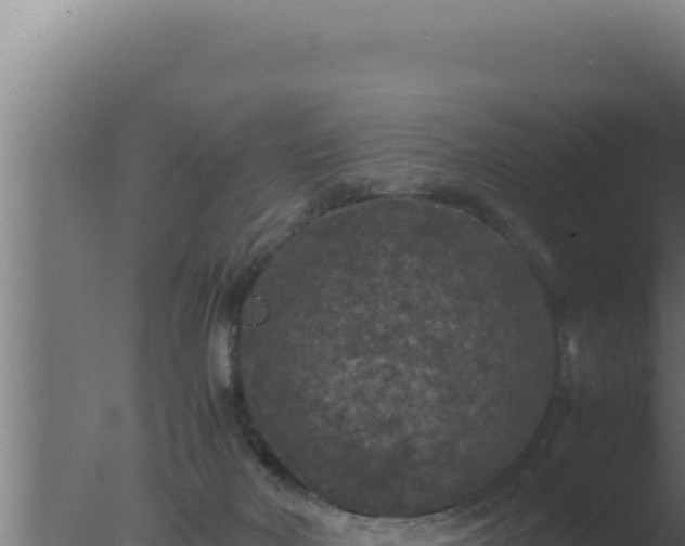 X0000077380026200610271958