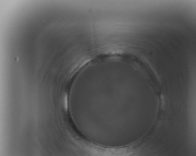 X0000077380027200610271958