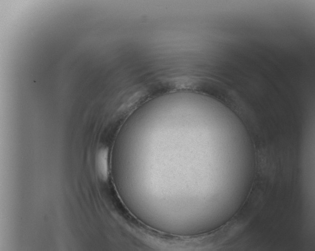 X0000077380028200610271958