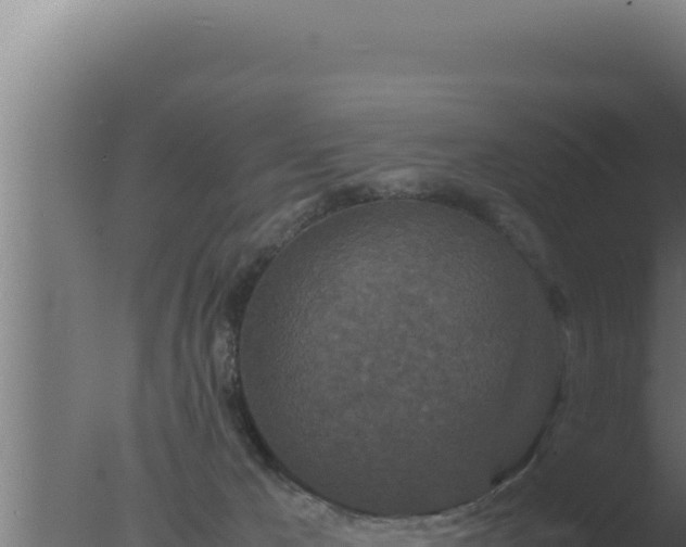 X0000077380029200610271957