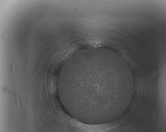 X0000077380030200610271957