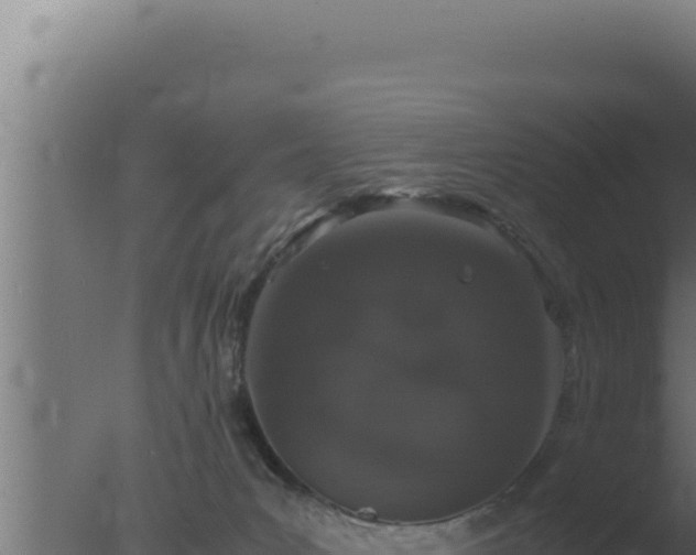 X0000077380031200610271957