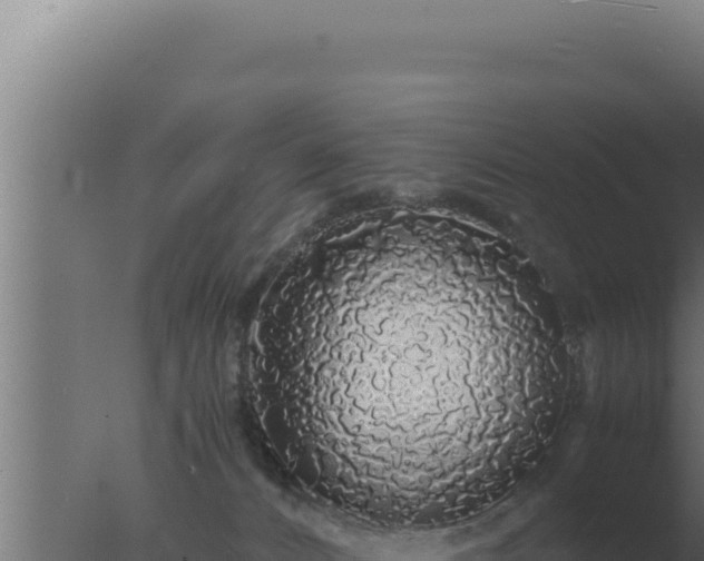 X0000077380032200610271957