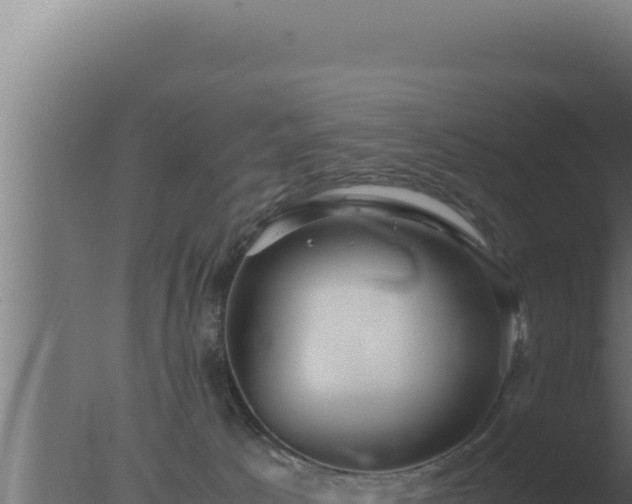 X0000077380033200610271957