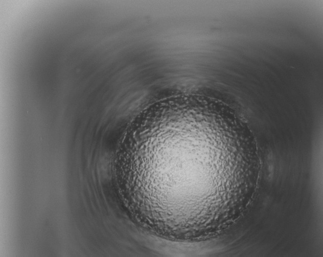 X0000077380034200610271957