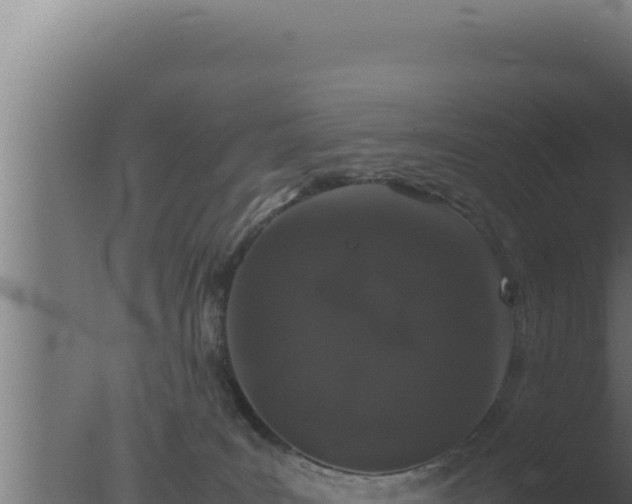 X0000077380035200610271957